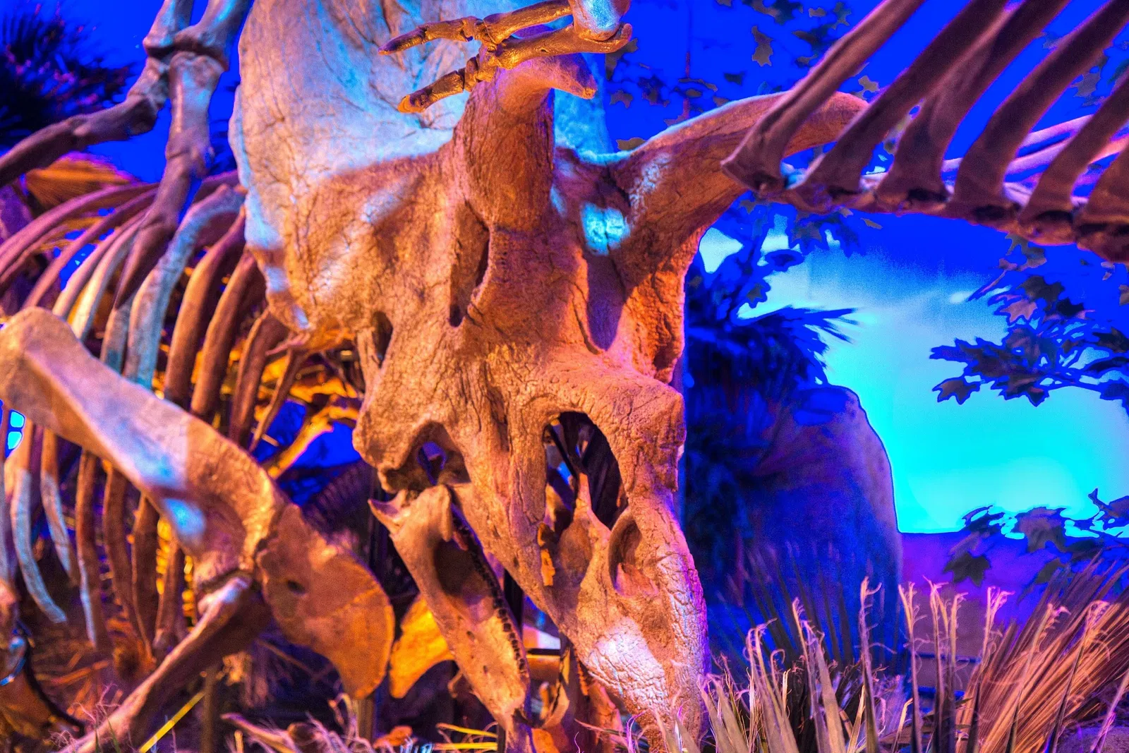 The Children's Museum of Indianapolis