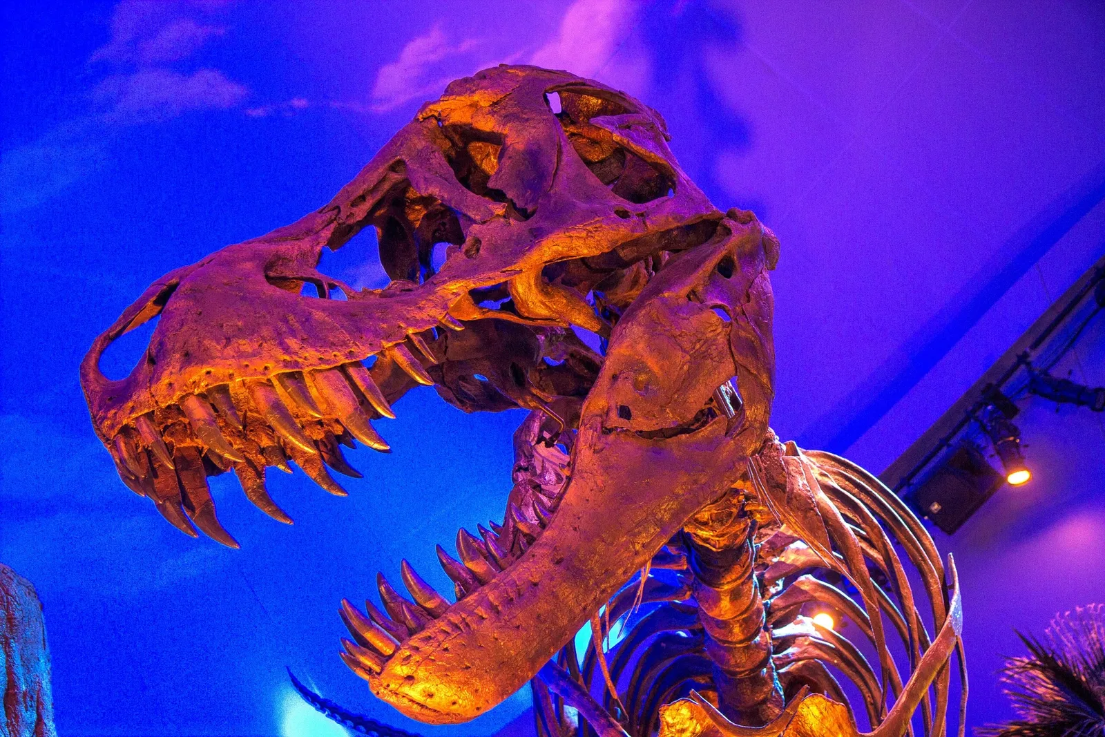 Children's Museum of Indianapolis