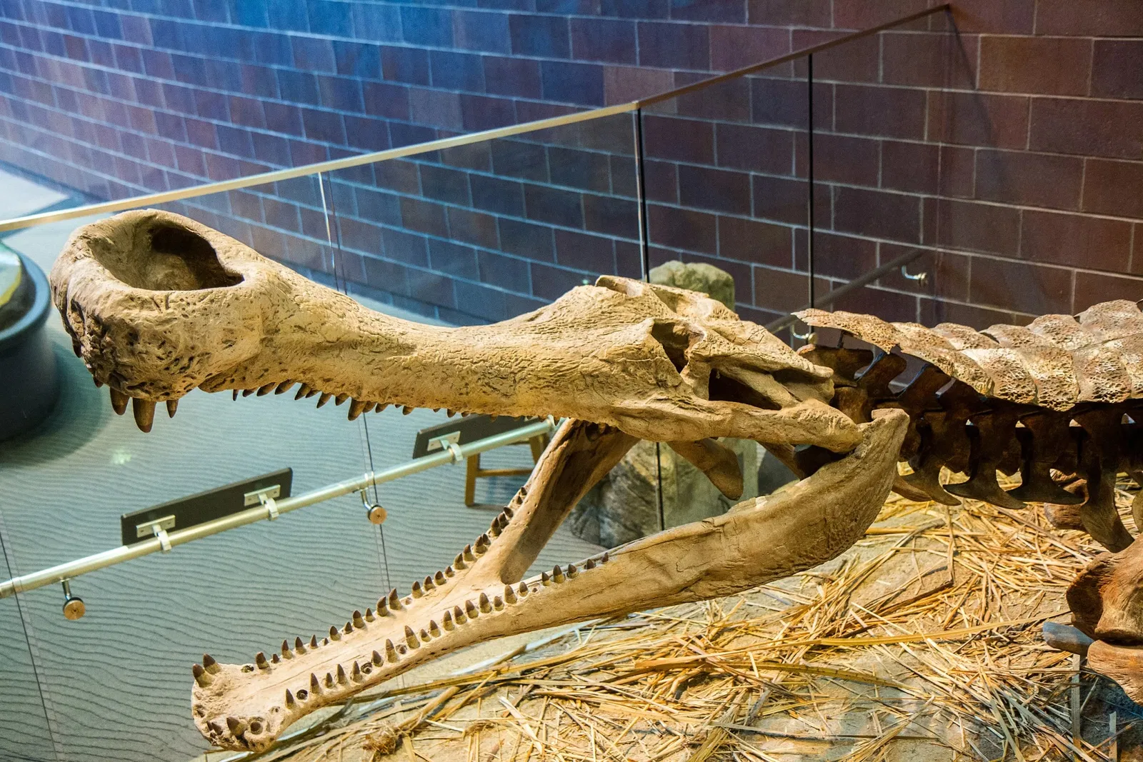 Museo dei bambini di Indianapolis