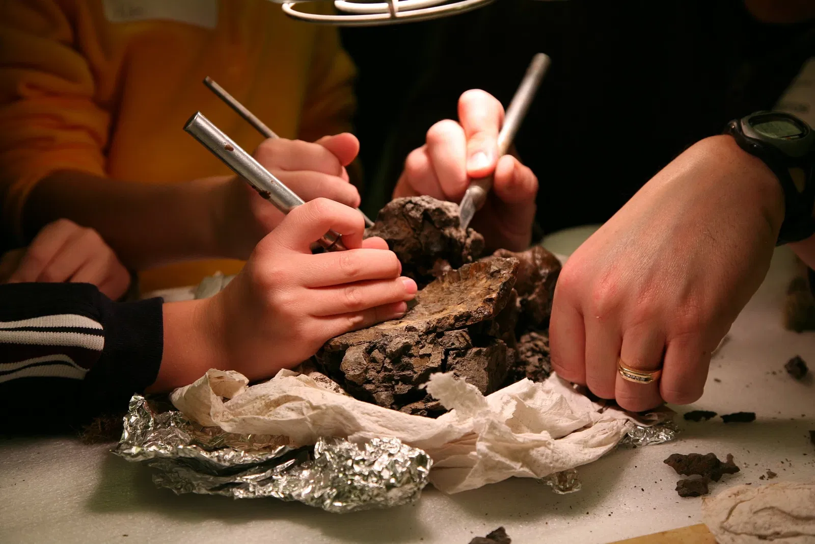 Children's Museum of Indianapolis