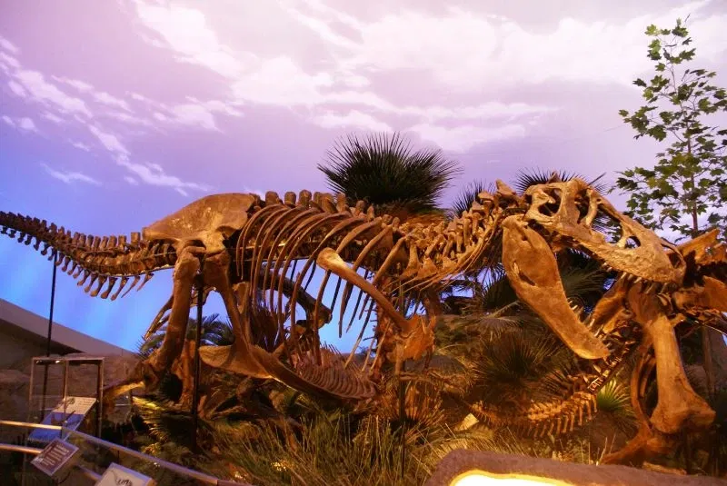 Museo de los Niños de Indianápolis