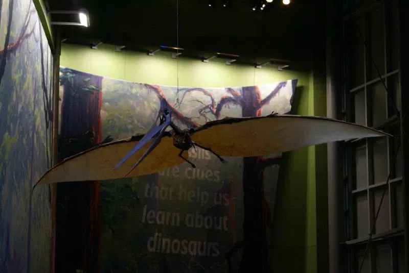 Museo de los Niños de Indianápolis