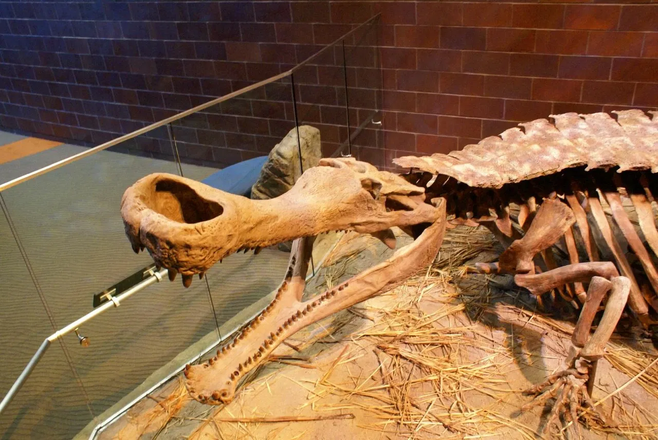 Children's Museum of Indianapolis