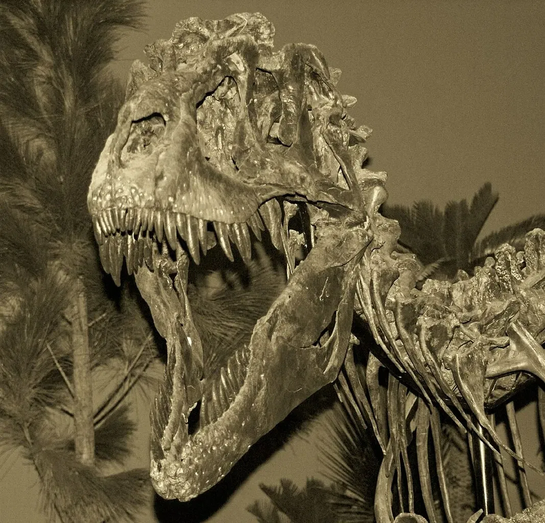 Children's Museum of Indianapolis