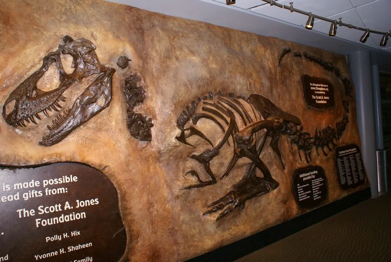 The Children's Museum of Indianapolis