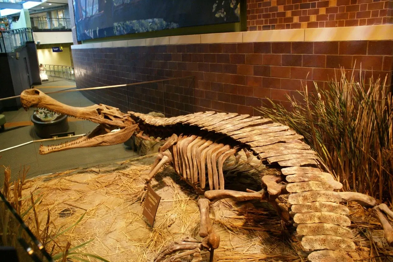 Museo dei bambini di Indianapolis