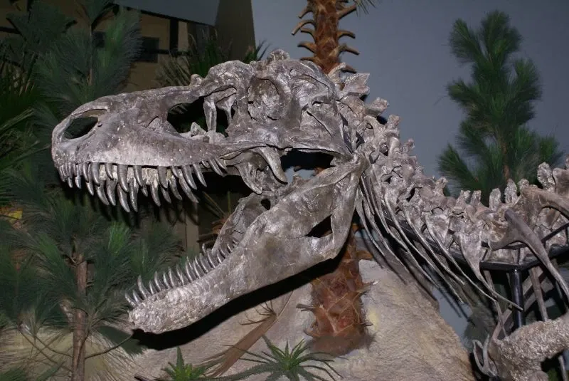 The Children's Museum of Indianapolis