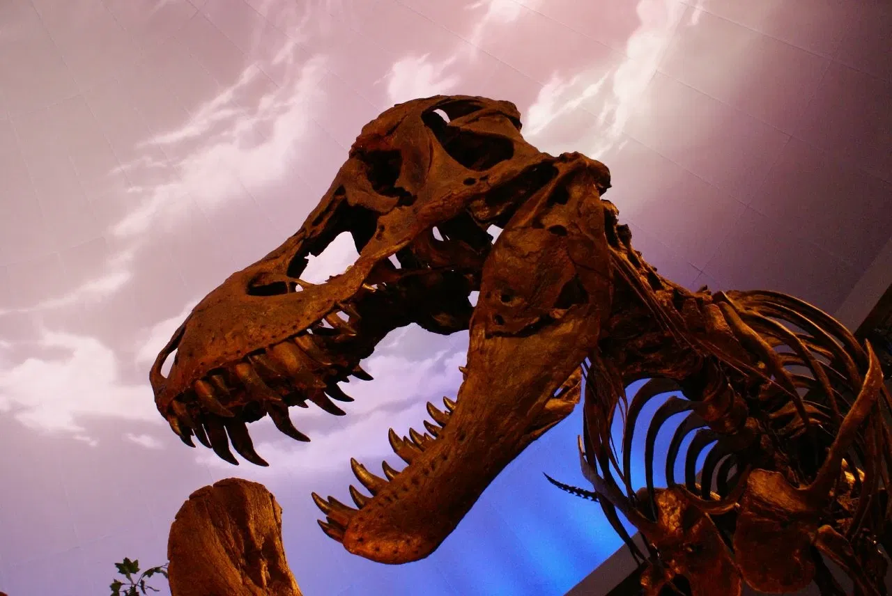 Children's Museum of Indianapolis