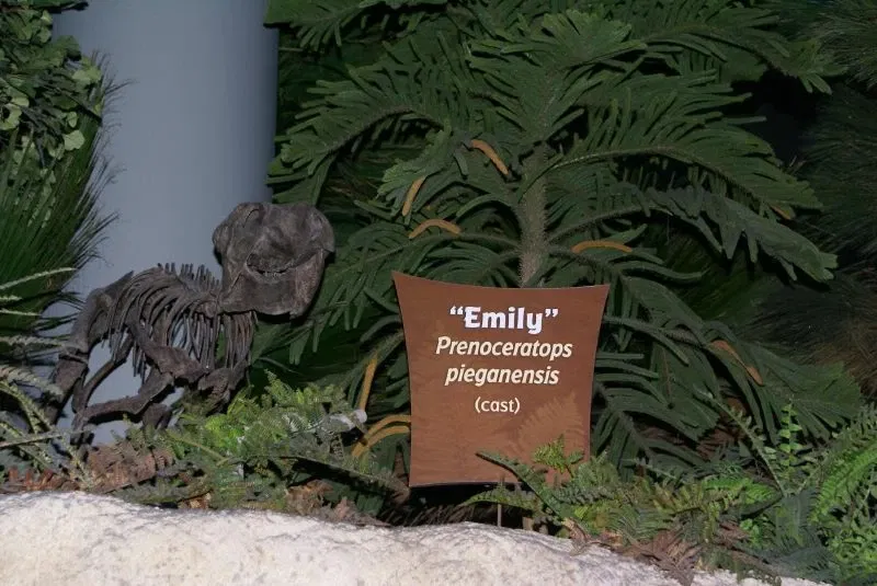 Museo dei bambini di Indianapolis