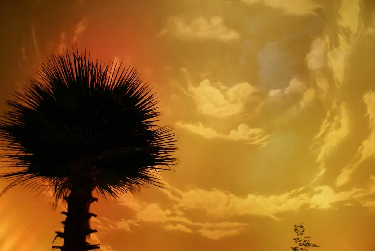 The Children's Museum of Indianapolis