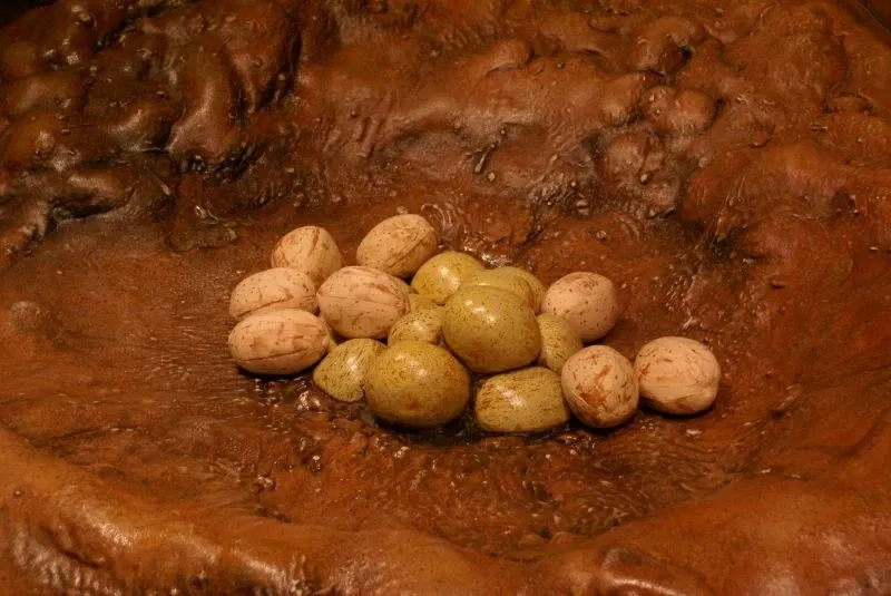 Children's Museum of Indianapolis