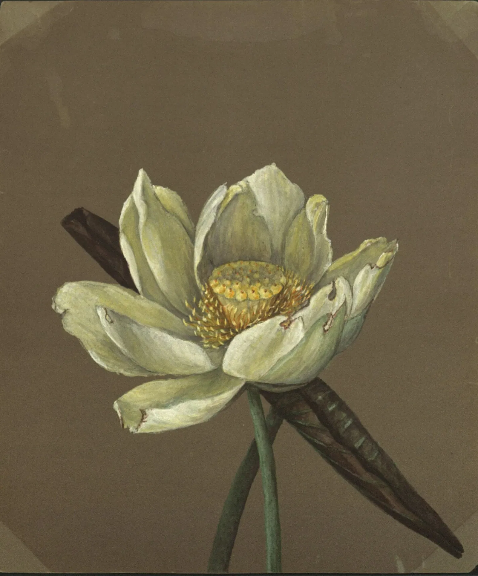 Minneapolis Institute of Art