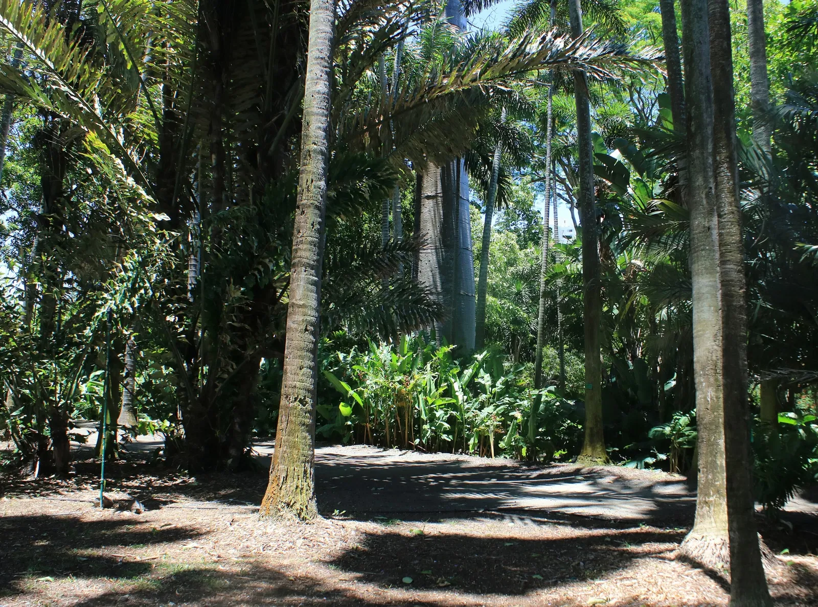 Foster Botanical Garden