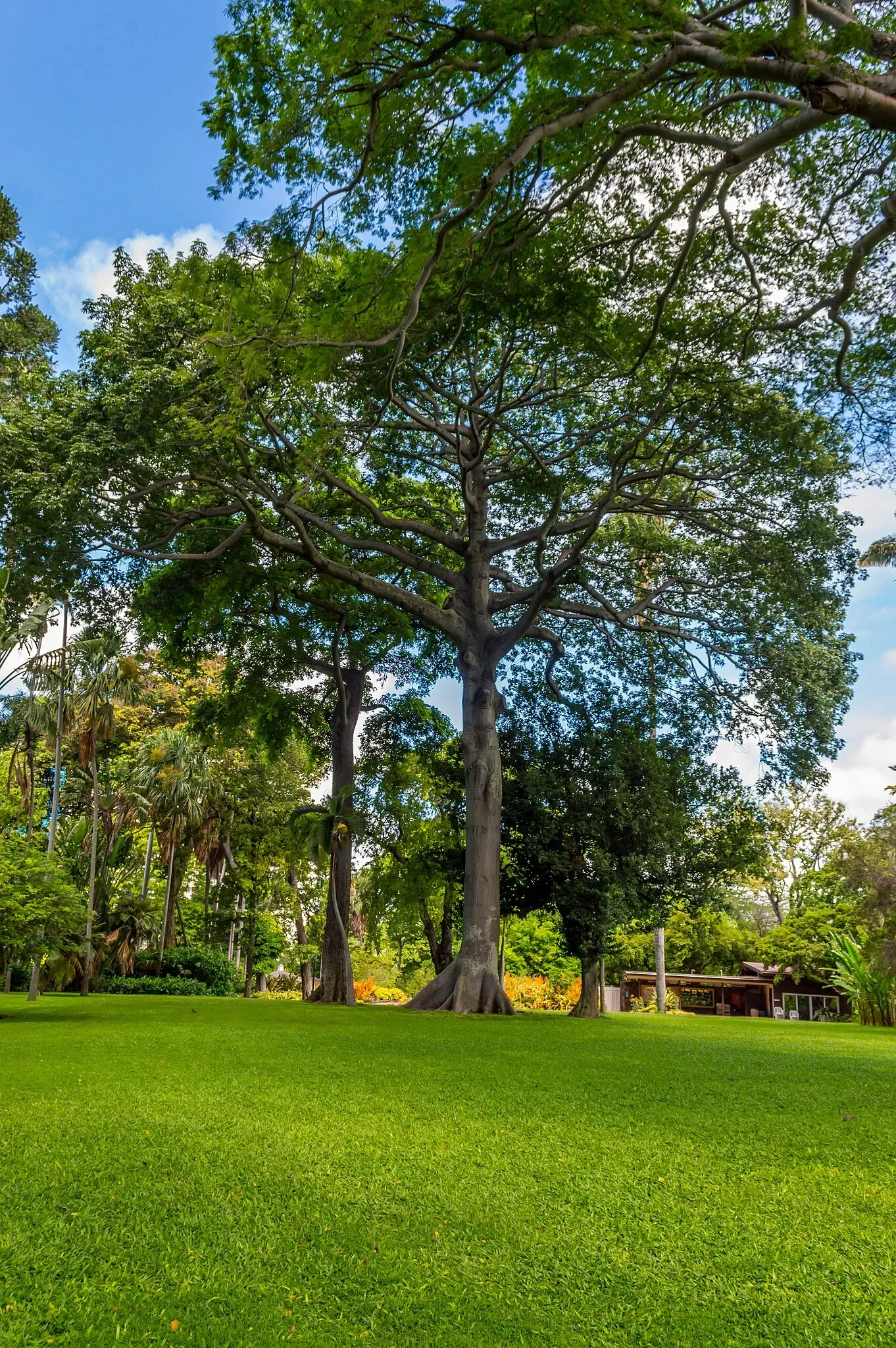 Jardín botánico Foster