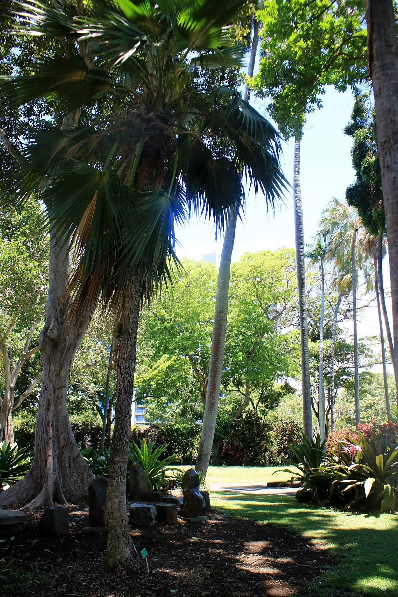 Jardín botánico Foster