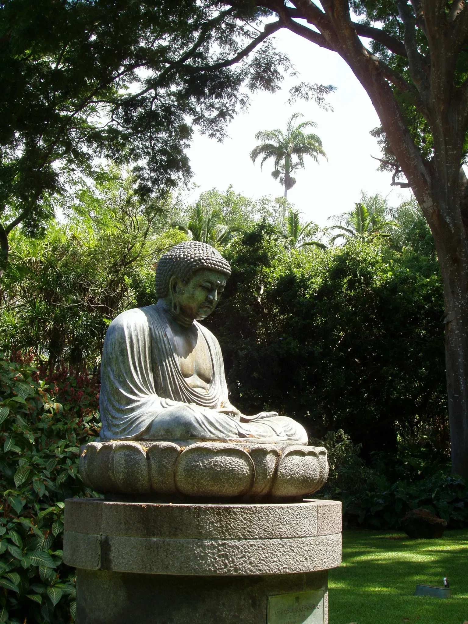 Foster Botanical Garden