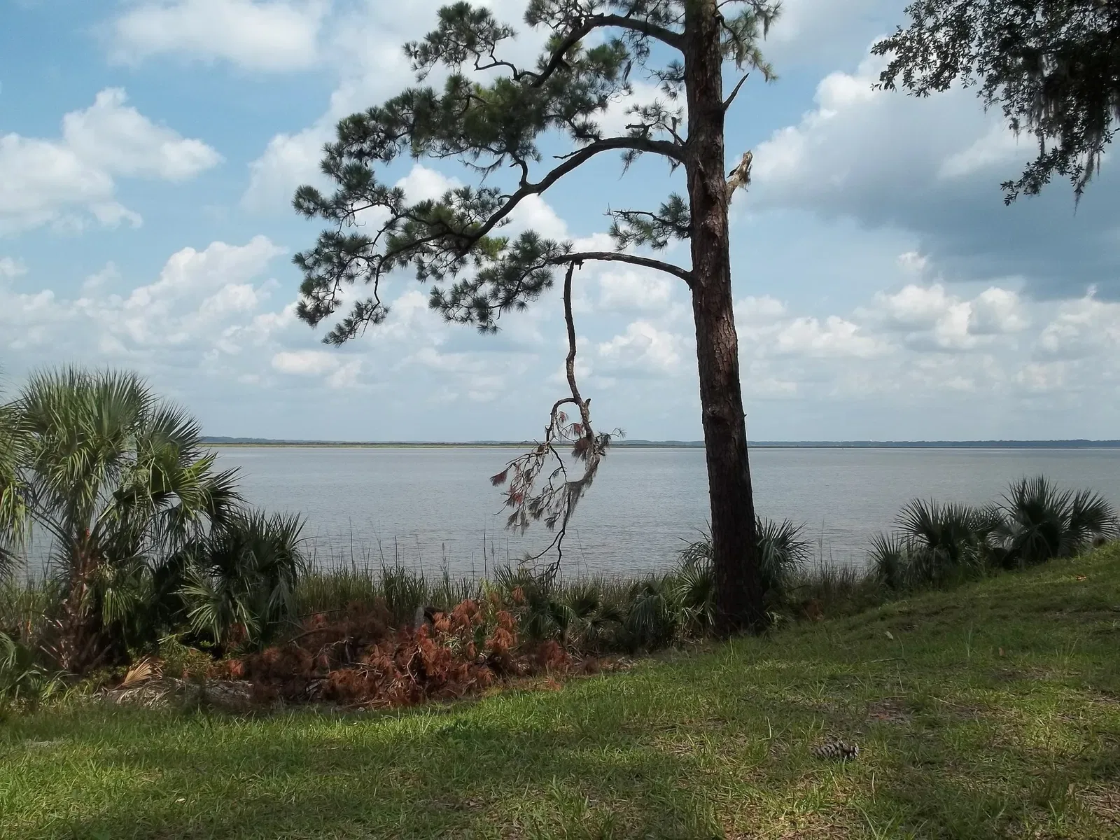 Fort Mcallister