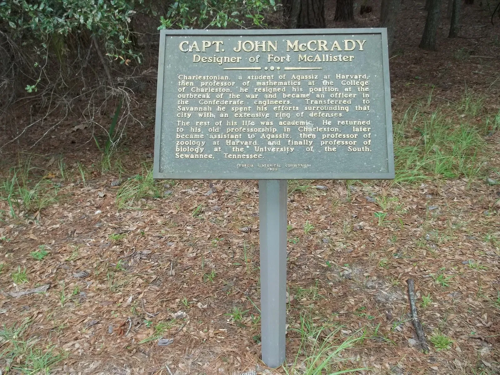 Fort Mcallister