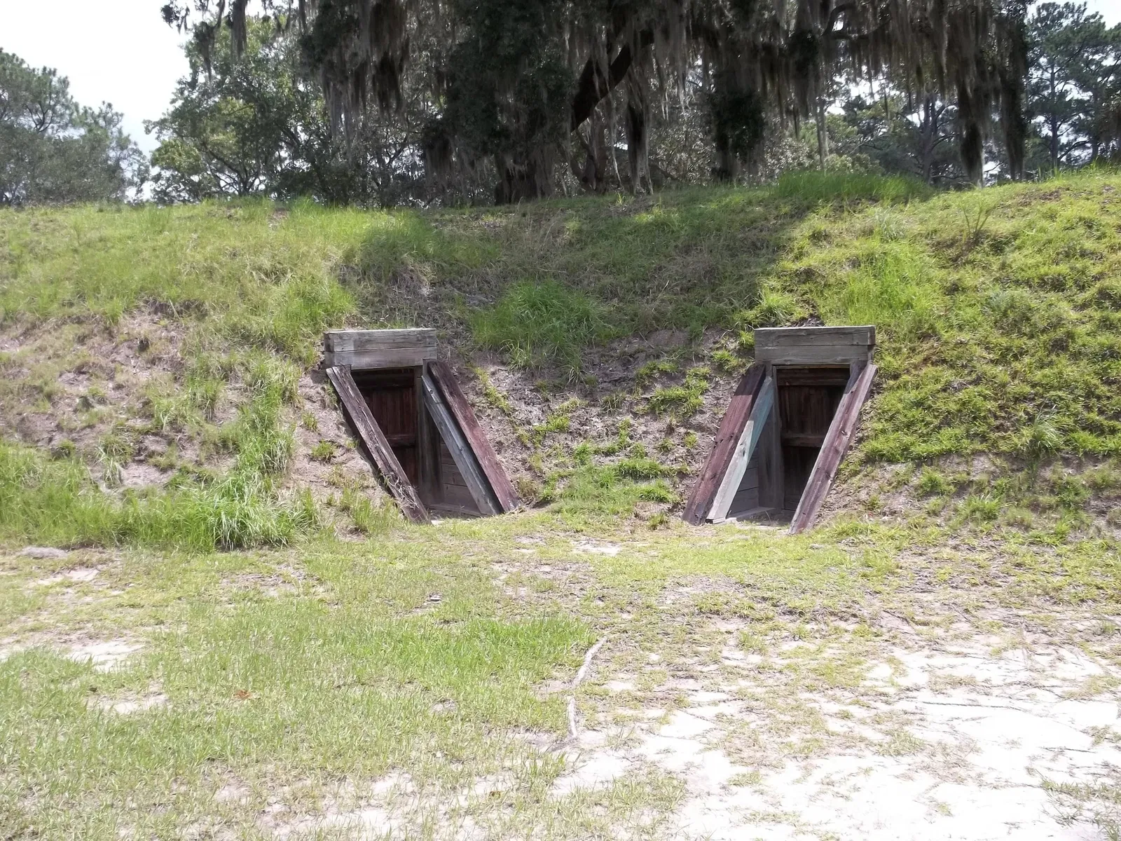 Fort Mcallister