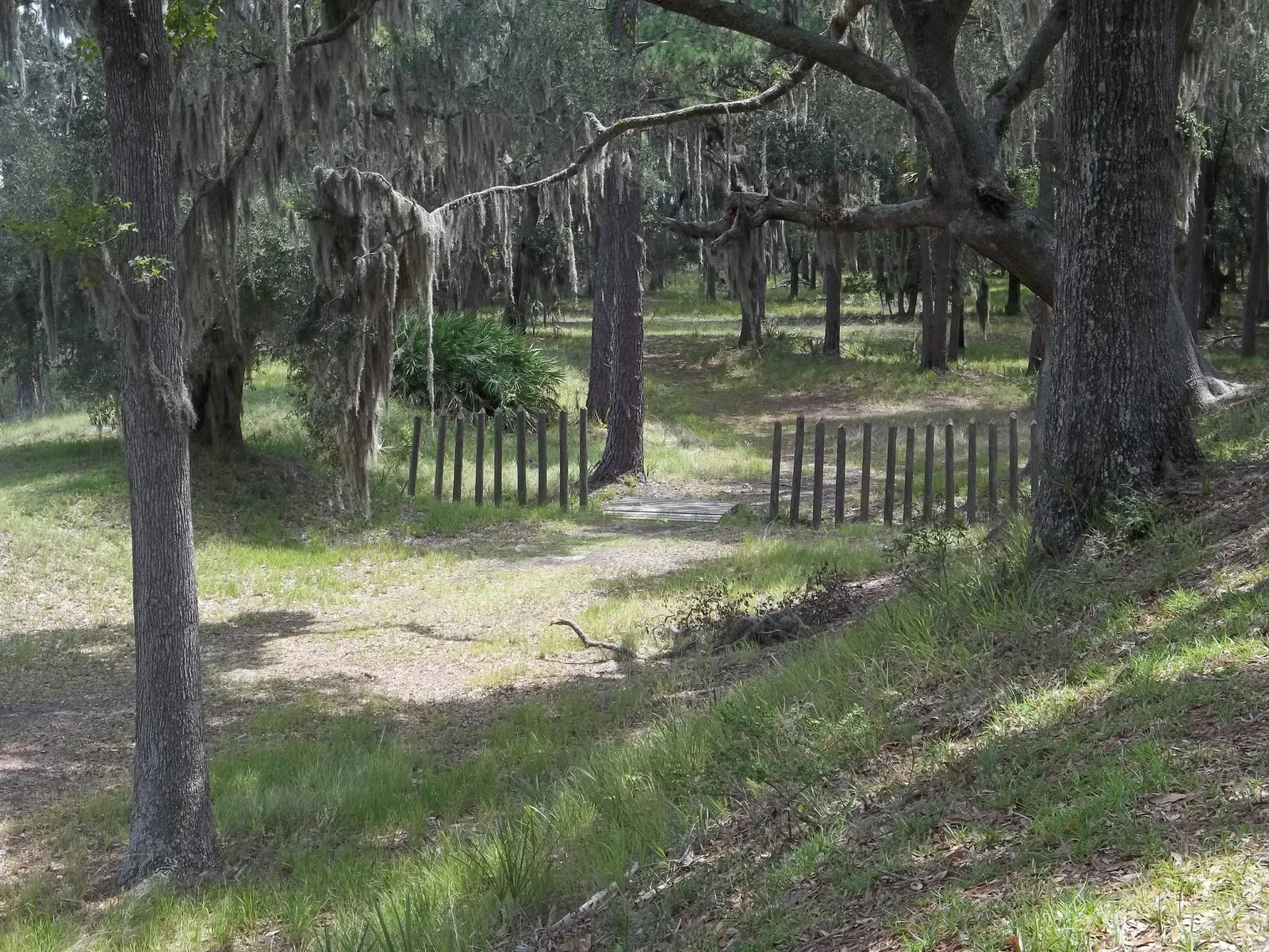 Fort Mcallister