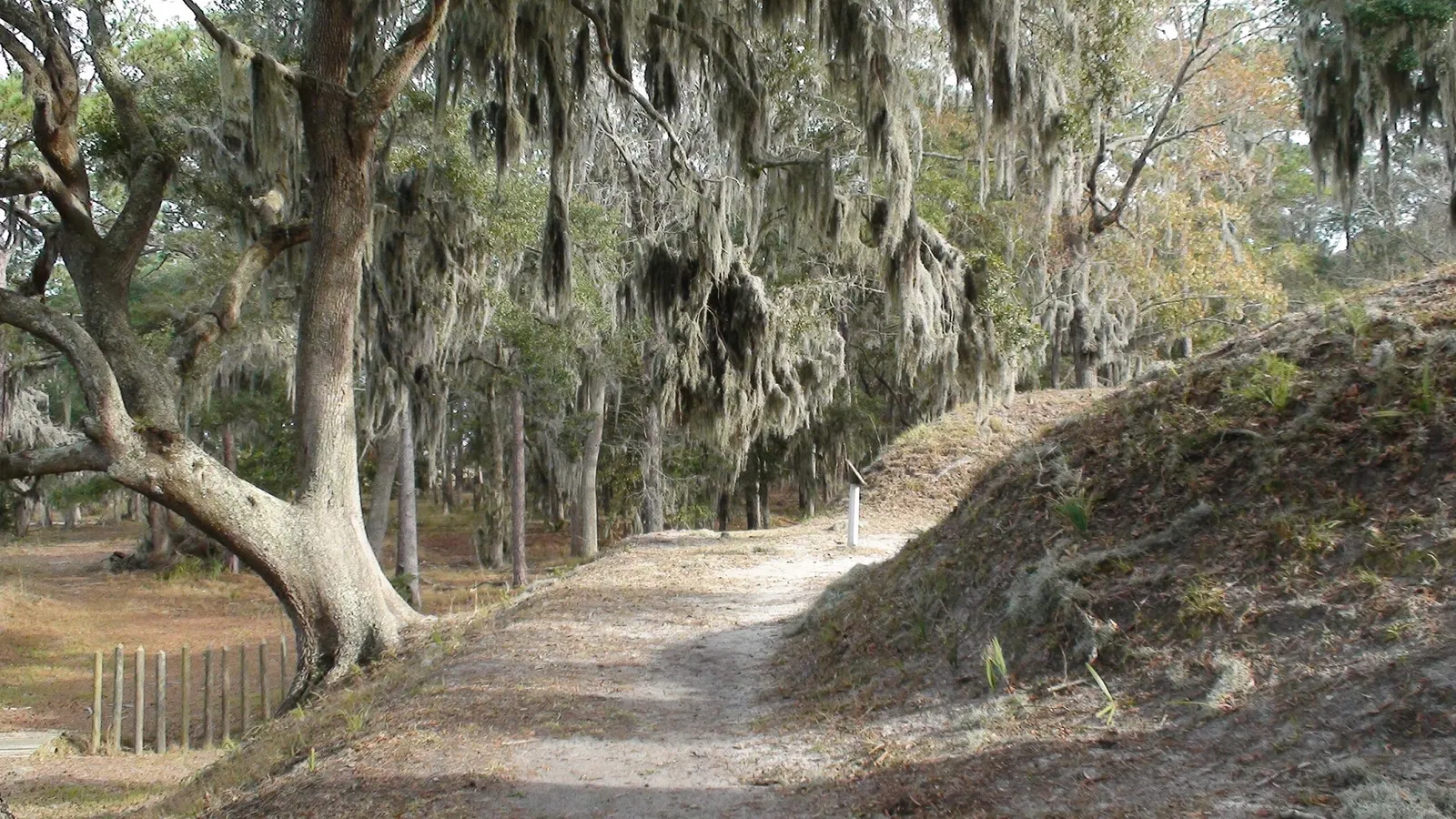 Fort Mcallister