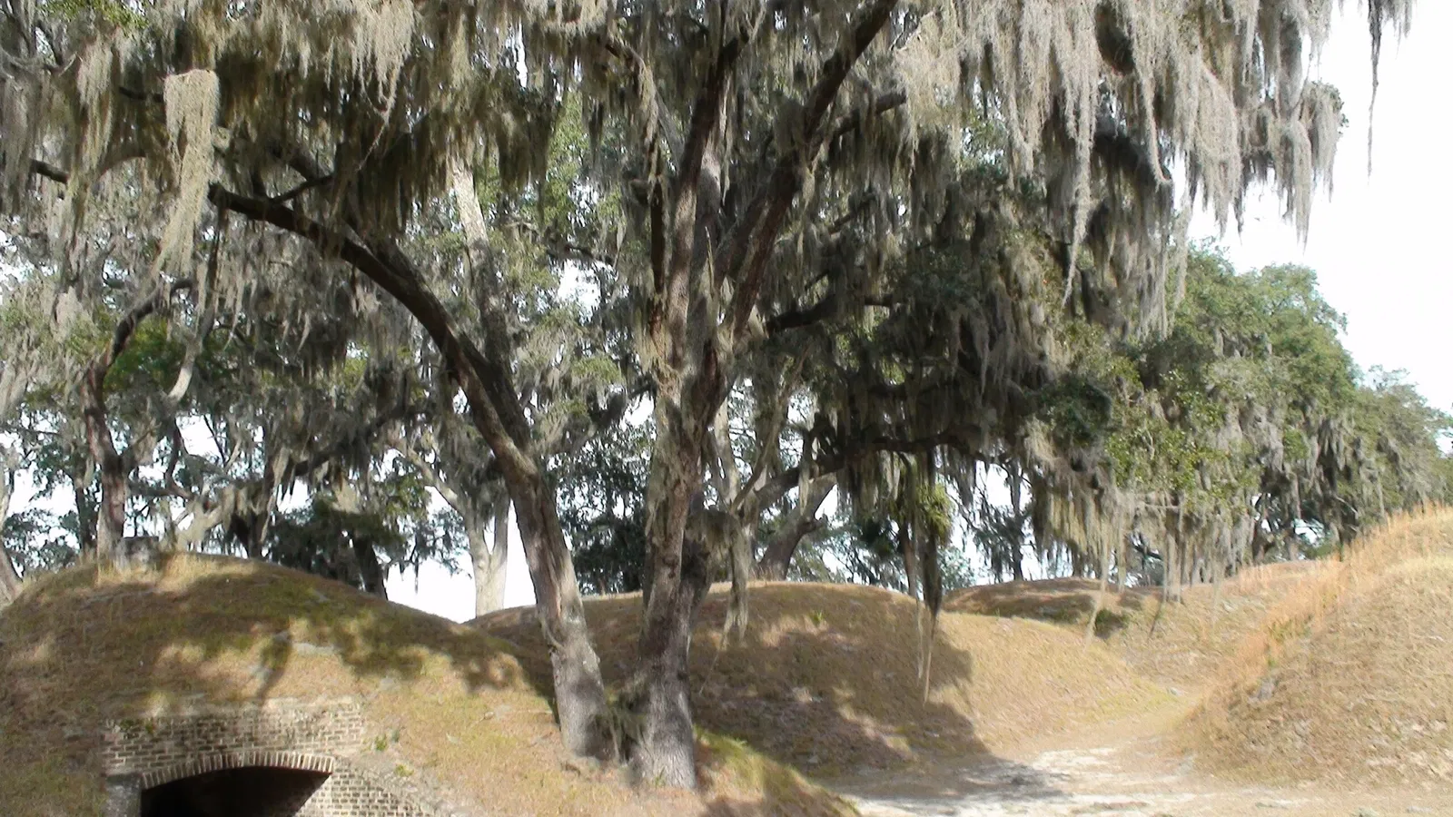 Fort Mcallister