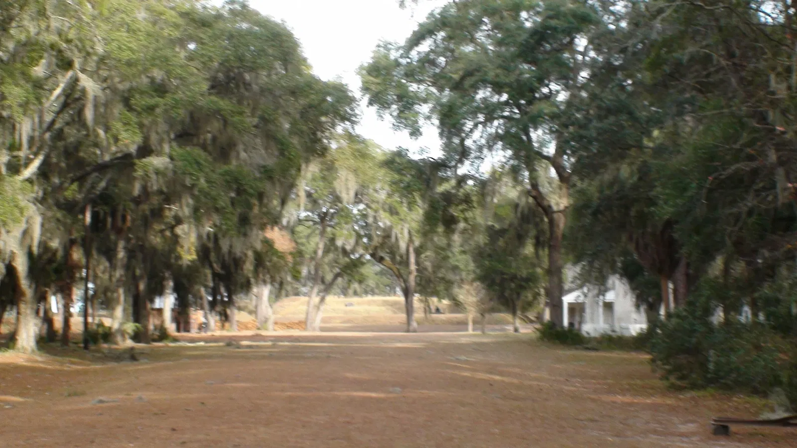 Fort Mcallister
