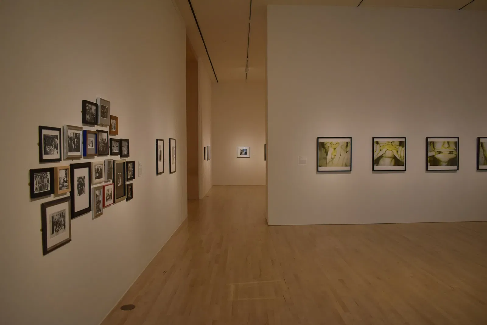 San Jose Museum of Art