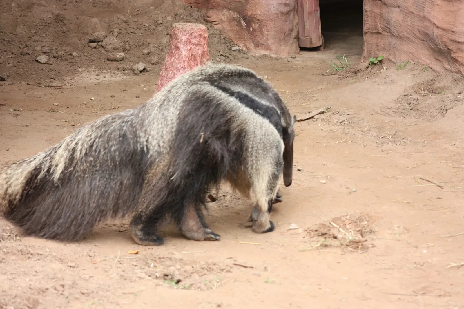 Oklahoma City Zoo