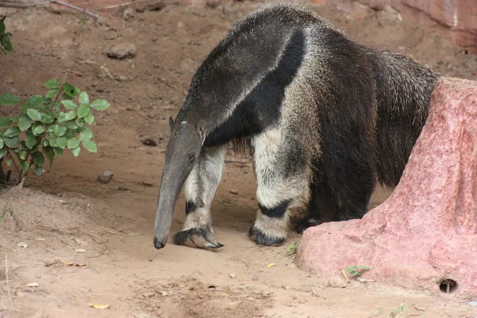 Oklahoma City Zoo