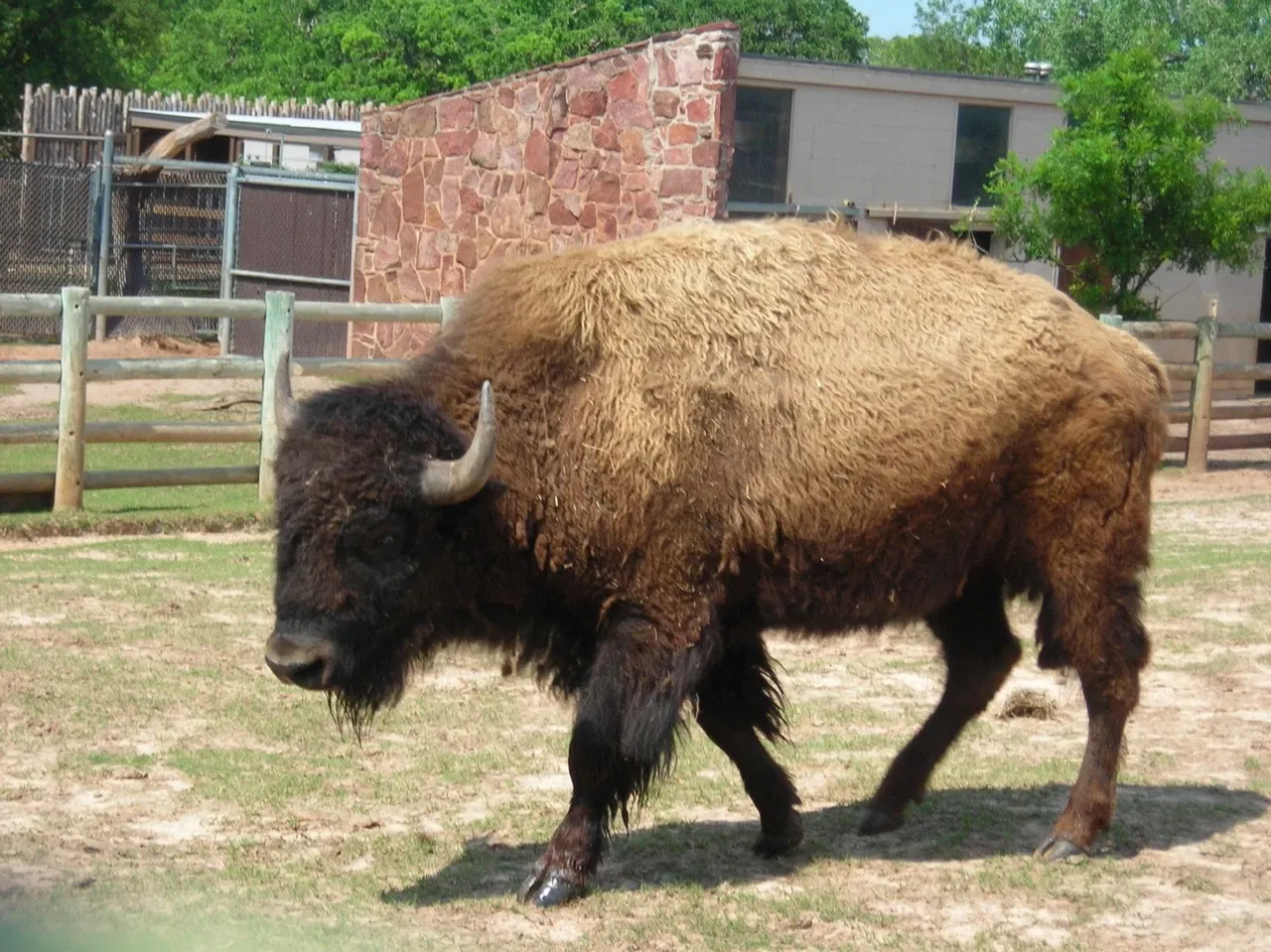 Oklahoma City Zoo