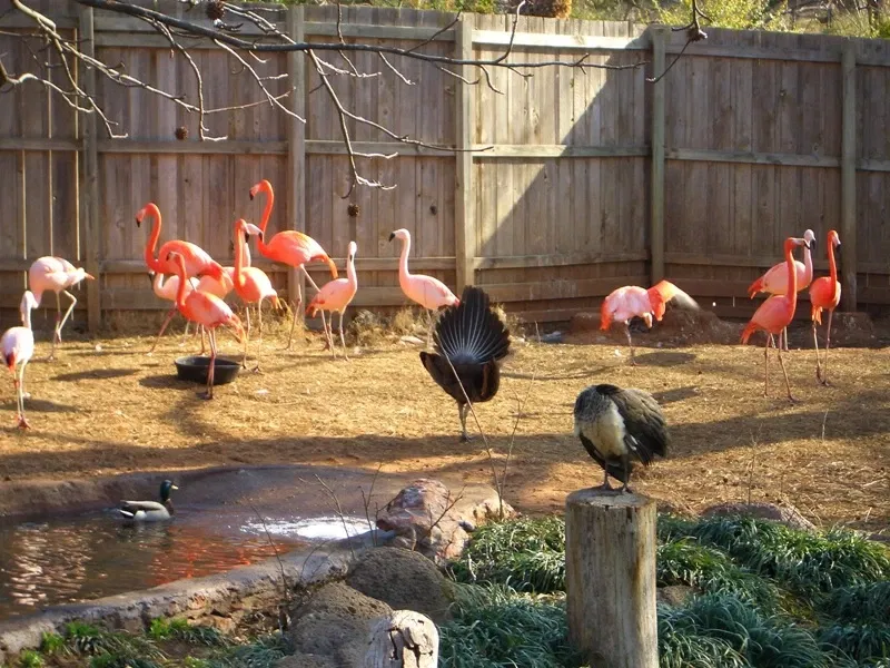 Oklahoma City Zoo