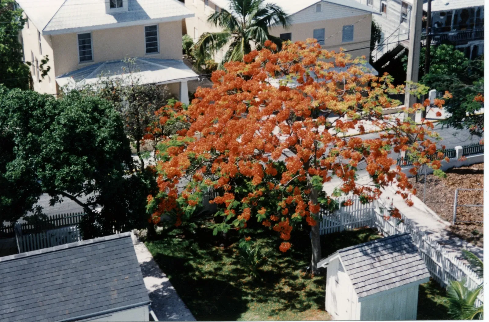 Key West Lighthouse & Keeper's Quarters Museum