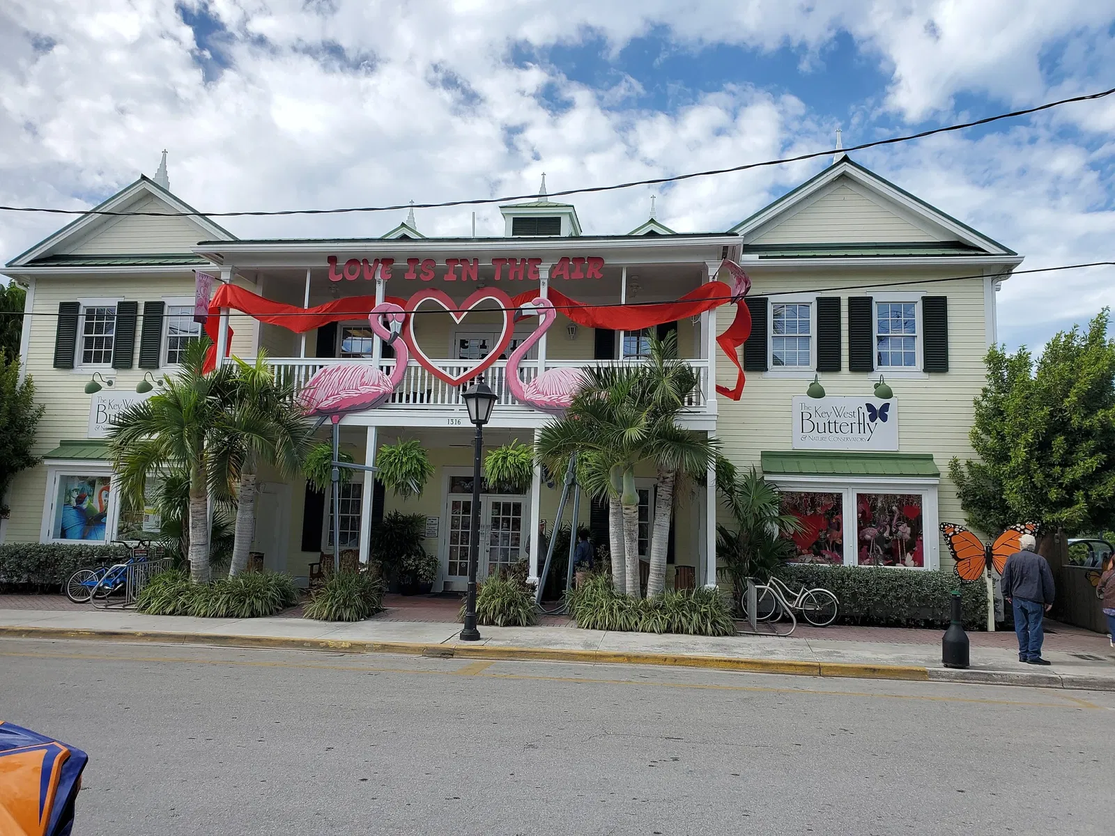 Key West Butterfly and Nature Conservatory