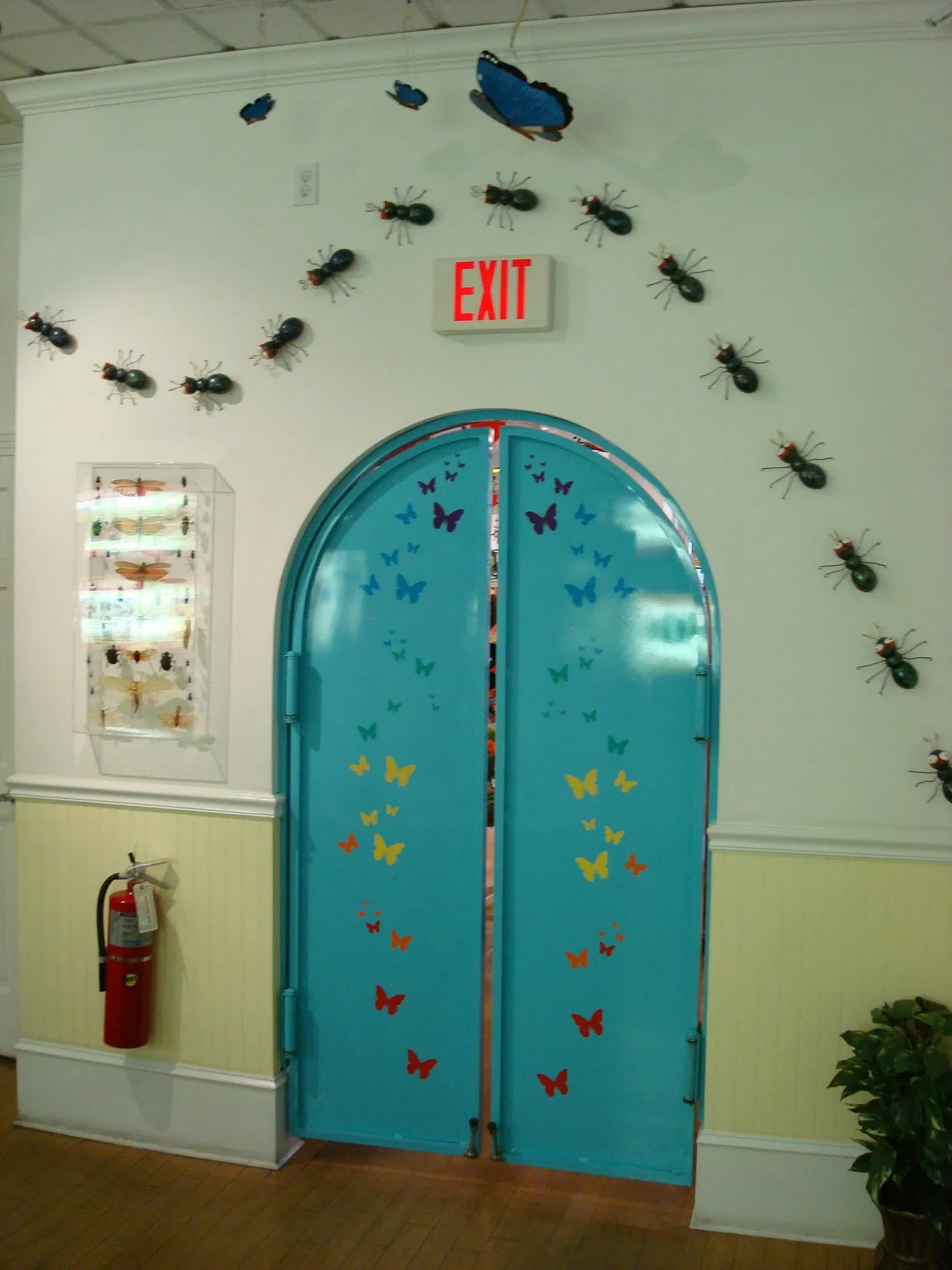 Key West Butterfly & Nature Conservatory