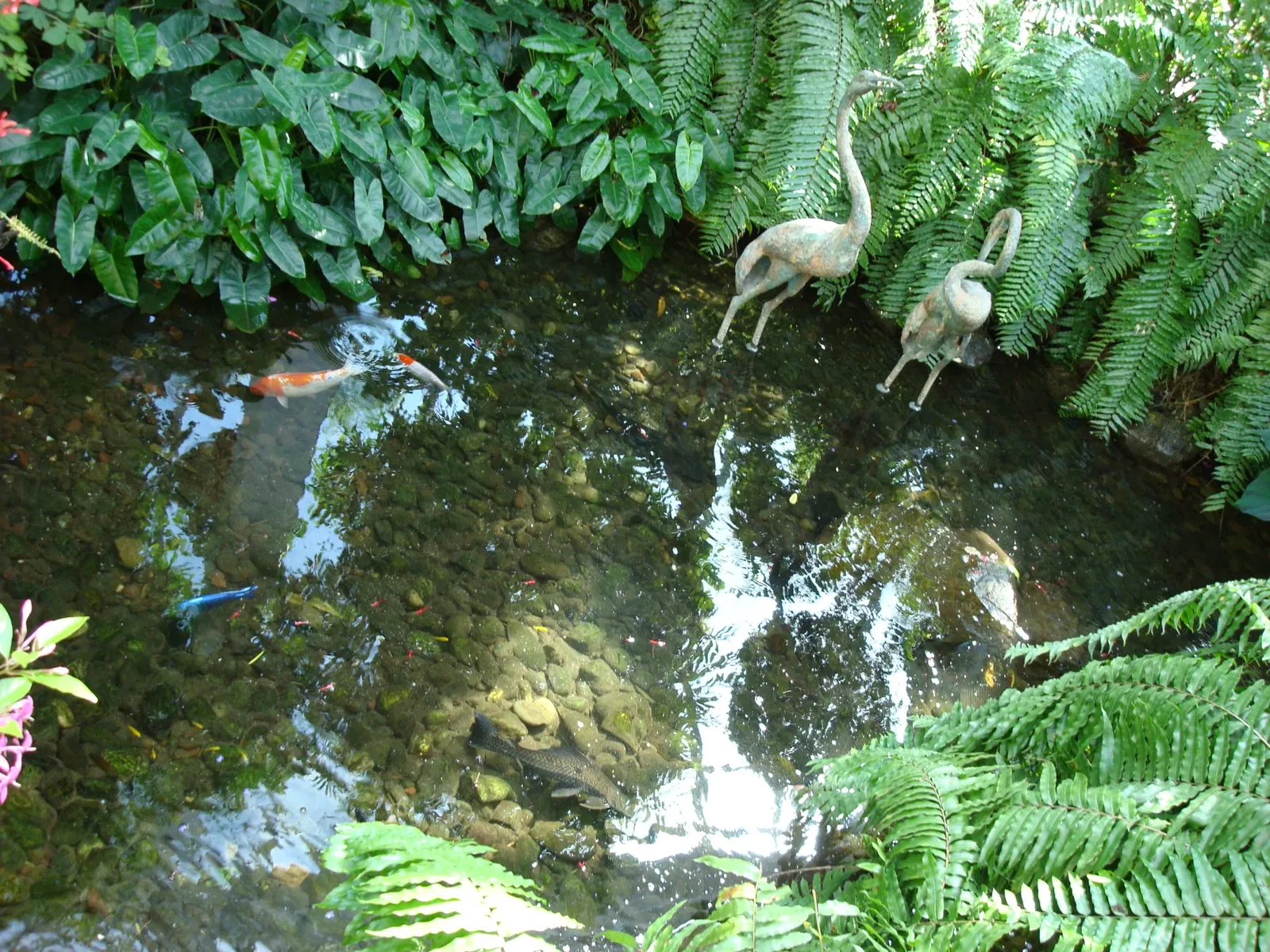Key West Butterfly and Nature Conservatory