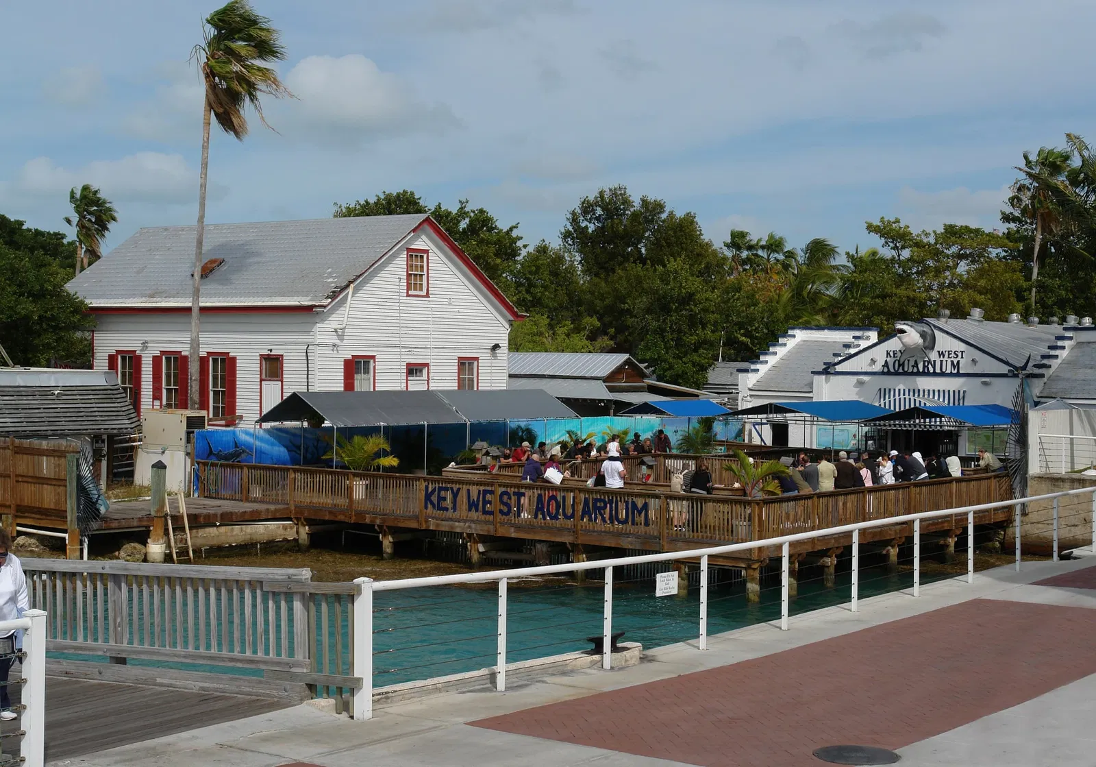 Acuario de Key West