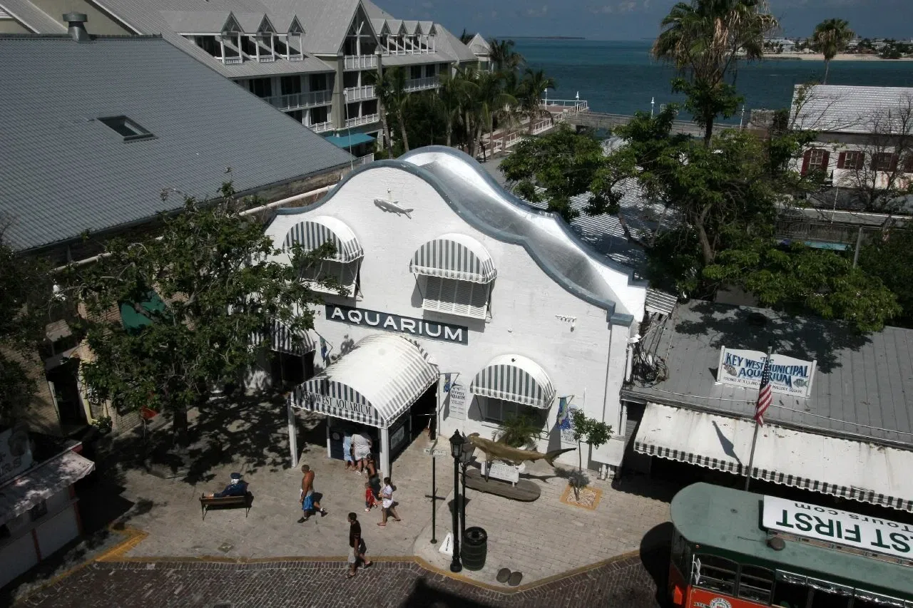 Key West Aquarium
