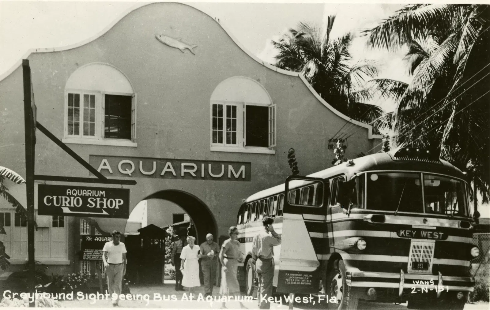 Acuario de Key West