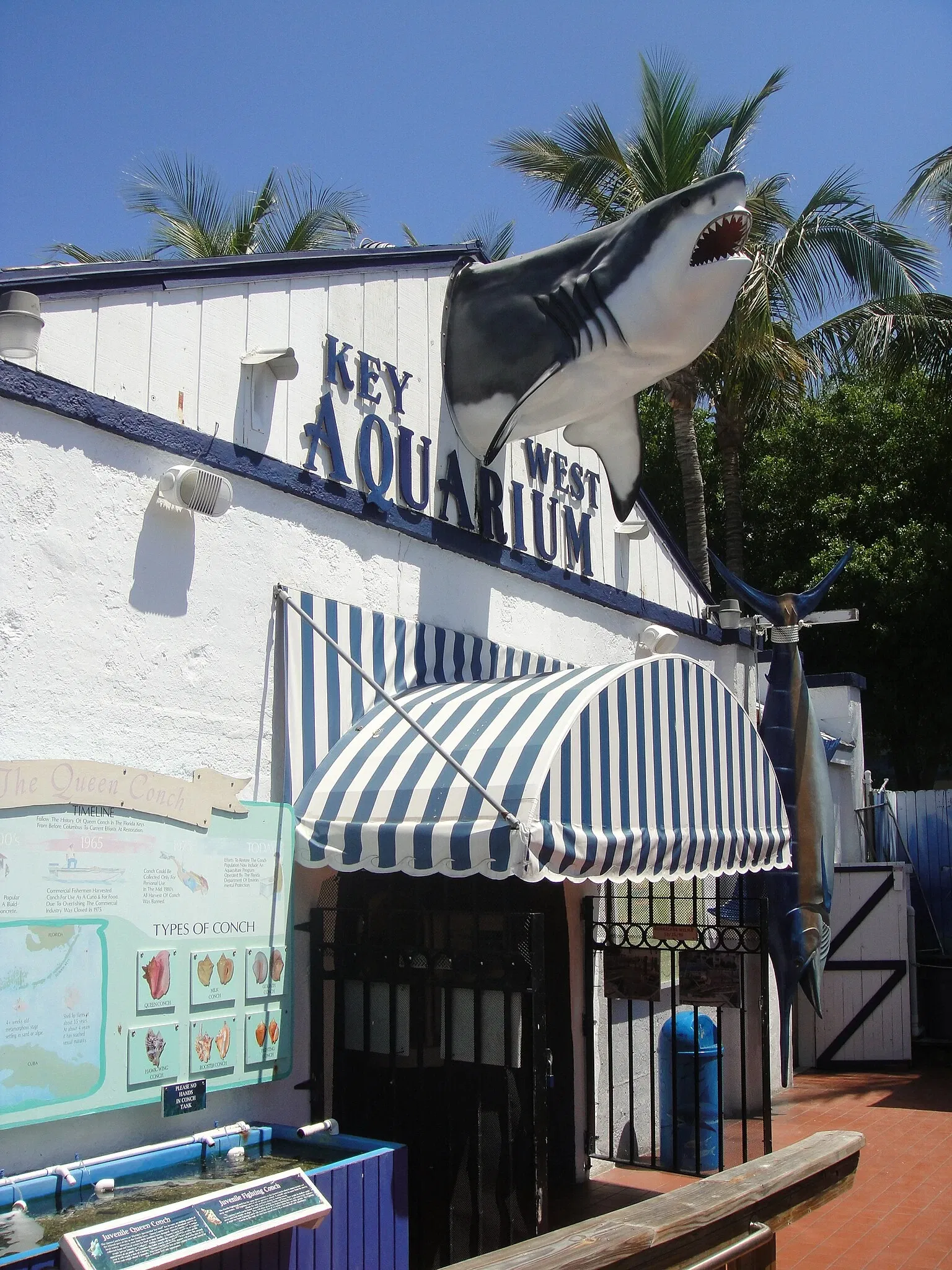 Acuario de Key West