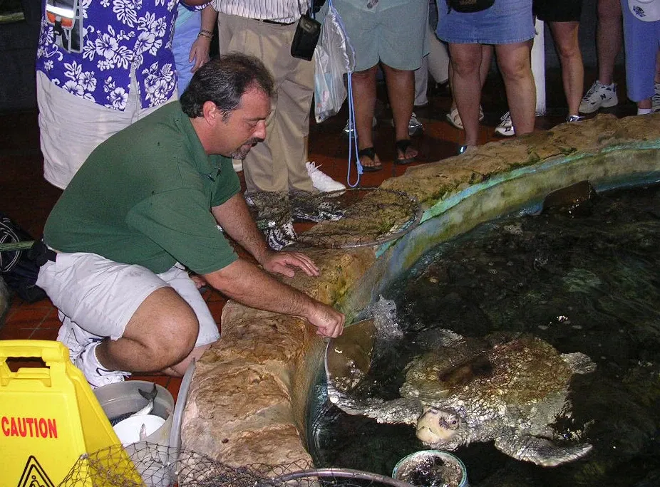 Acuario de Key West