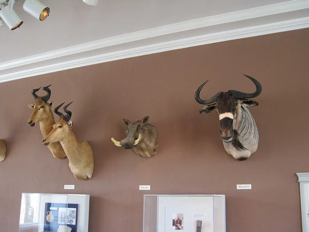 Memphis Museum of Science & History