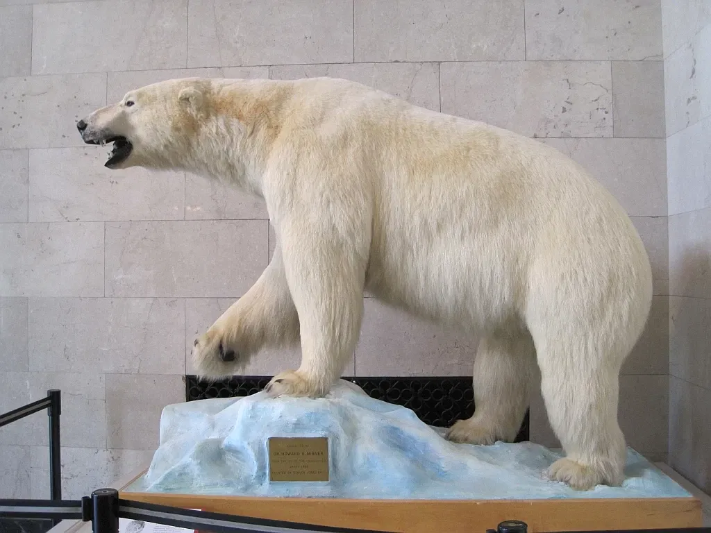 Memphis Museum of Science & History