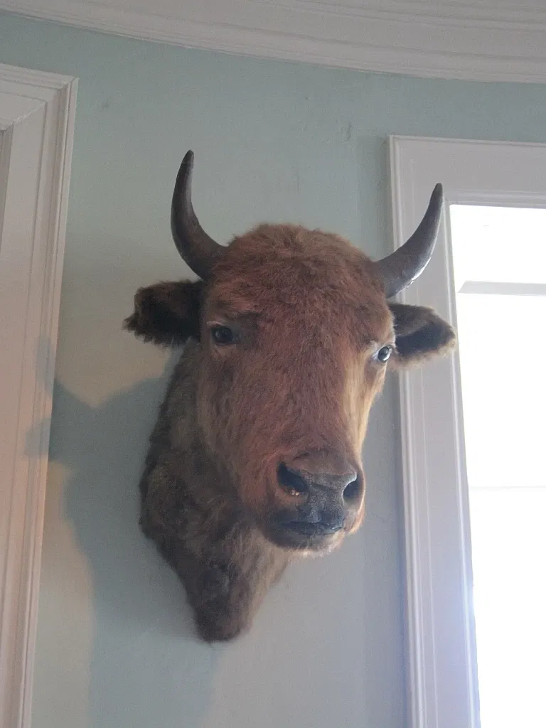 Memphis Museum of Science & History