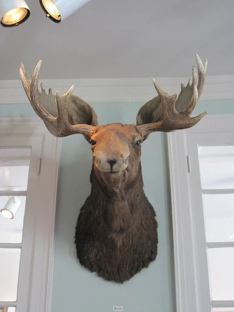 Memphis Museum of Science & History