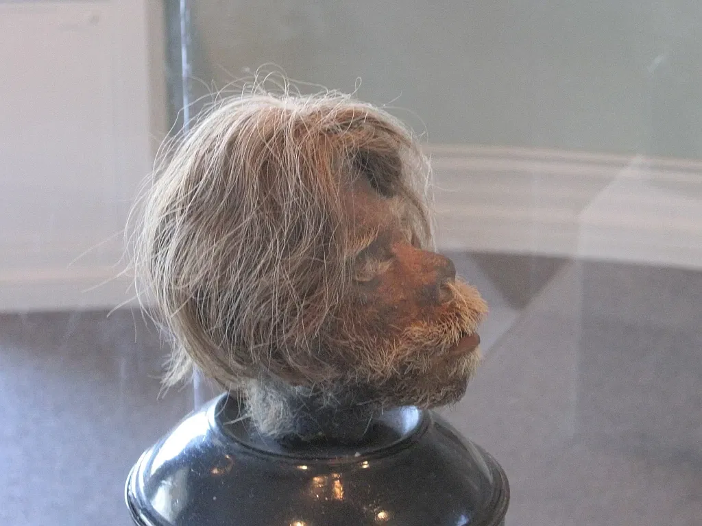 Memphis Museum of Science & History