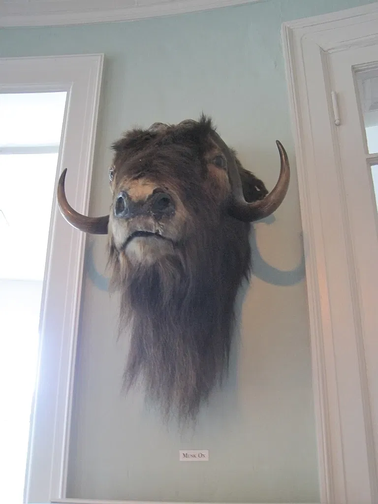 Memphis Museum of Science & History