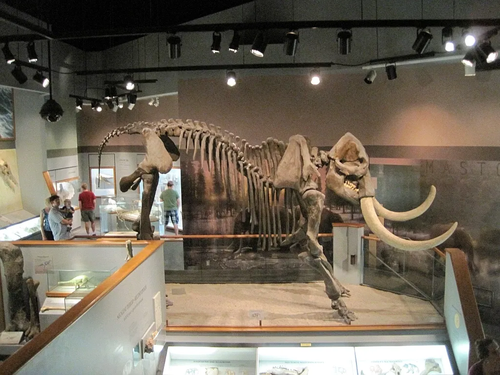 Memphis Museum of Science & History