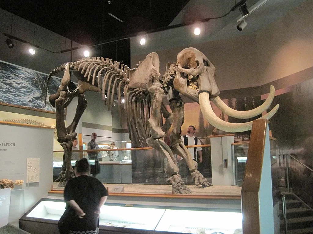 Memphis Museum of Science & History