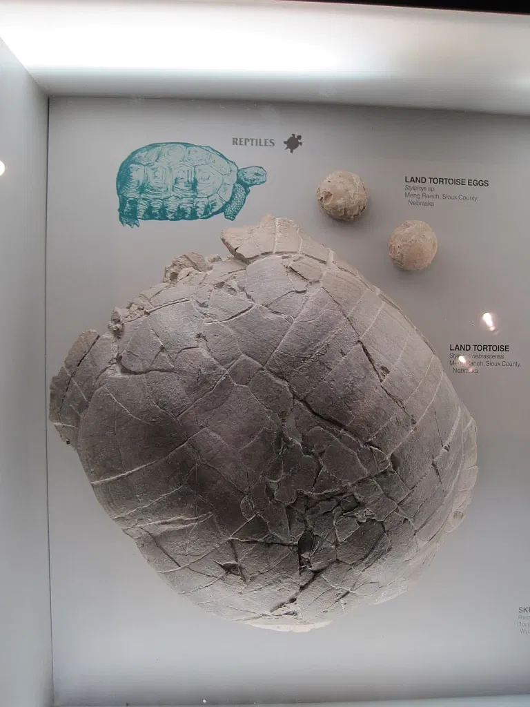 Memphis Museum of Science & History